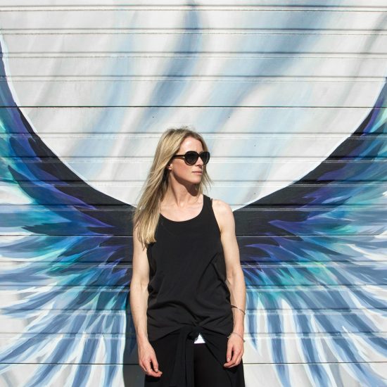 Two wings illustrating why premium brands fail without both emotion and commercial excellence